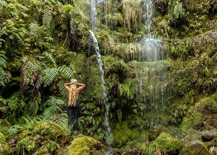 度假居 Rocha House