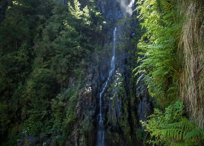 Rocha House 度假居 *