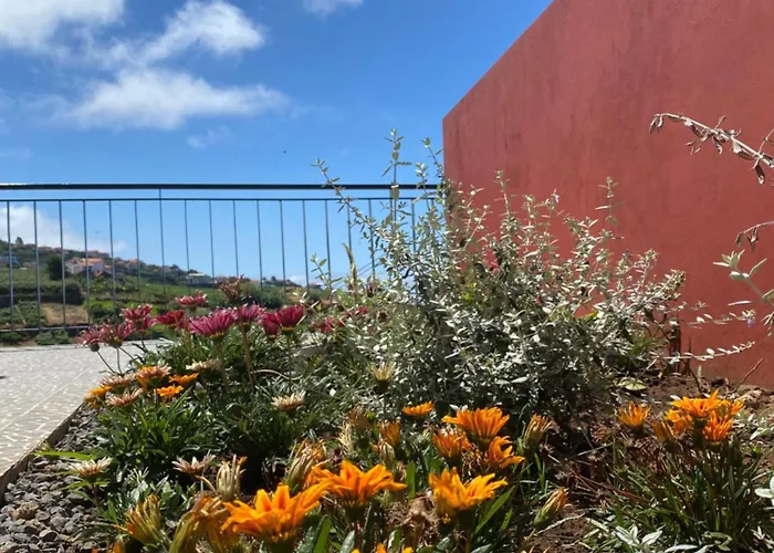 Rocha House * Calheta (Madeira)